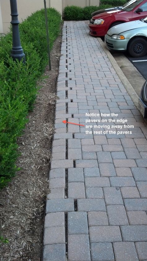 Concrete Front Steps, Paver Edging, Patio Edging, Brick Garden Edging, Diy Patio Pavers, Patio Installation, Brick Edging, Paver Designs, Pathway Landscaping