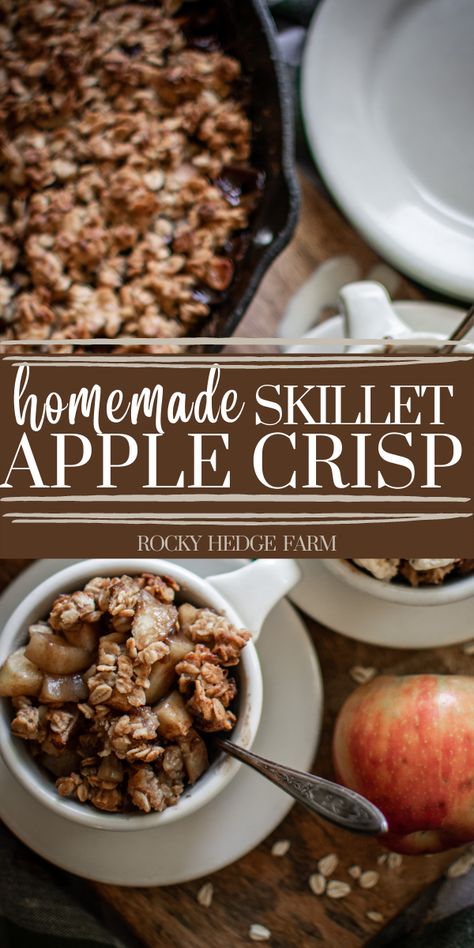 Apple Crisp Recipe Cast Iron Skillet, Apple Crisp In Cast Iron Skillet, Using Up Apples, Iron Skillet Apple Crisp, Cast Iron Apple Crisp, Skillet Apple Crisp, Iron Meals, Skillet Dessert, Apple Crisp No Oats