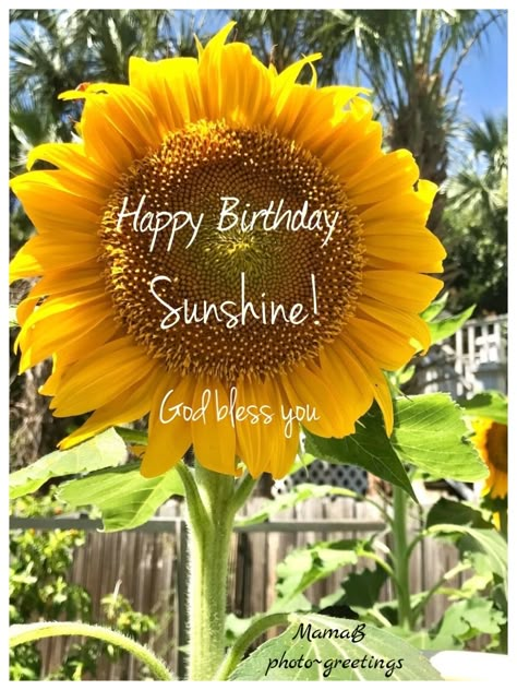 Happy Birthday Sunshine! God bless you, pcMamaB Happy Birthday Sunshine, Get Well Messages, Beautiful Flowers Photos, Birthday Blessings, Christian Love, God Bless You, Jesus Loves You, Happy Birthday To You, Birthday Quotes