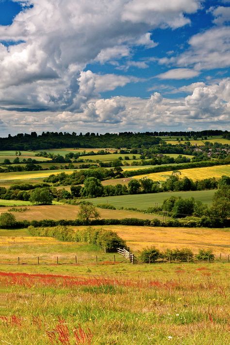 Landscape References, England Countryside, Landscape Reference, Nature Background Images, Landscape Inspiration, Landscape Photography Nature, British Countryside, Nature Background, Country Side