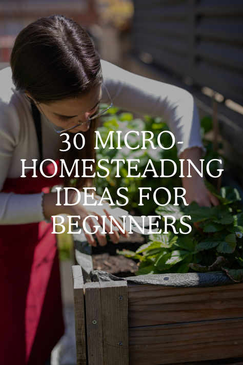 30 Micro-Homesteading Ideas for Beginners Micro Homestead Layout, Micro Farming Ideas, Homesteading Small Space, Simple Homesteading Ideas, Off Grid Projects Diy, Mini Homestead Ideas, Small Scale Homesteading, Urban Homesteading Aesthetic, Small Backyard Homestead