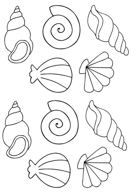 Queen Conch Shell Drawing, Easy Seashell Drawing, Seashell Drawing Simple, Snail Shell Drawing, Sea Shell Outline, How To Draw Seashells, Clam Drawing, Sealife Drawing, Seashells Template