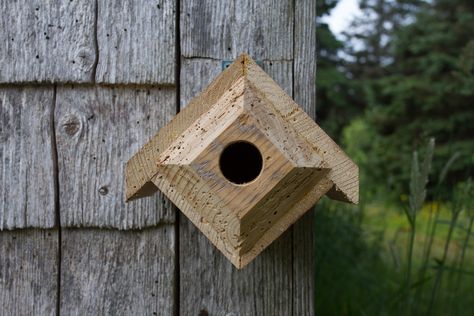 Nuthatch, Chickadee and Wren Nest Box. Made from 100% reclaimed barn board. Robin Nest Box, Diamond House, Bird House Plans Free, Bee Houses, Homemade Bird Houses, Nest Box, Bird House Plans, Wooden Plant Stands, Nesting Box