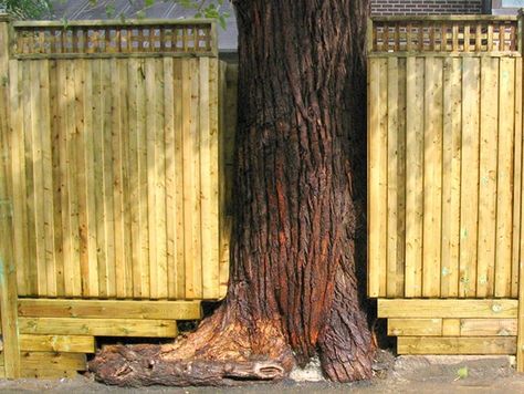 Fence designs by Stephan Beaulieu, fence designer in Montreal, Qc. Fence Around Tree, Tree Fence Ideas, House Boundary Wall, Back Garden Fence, Small Yard Ideas, Brooklyn Backyard, Tree Fence, Cottage Beach House, Outdoor Space Ideas