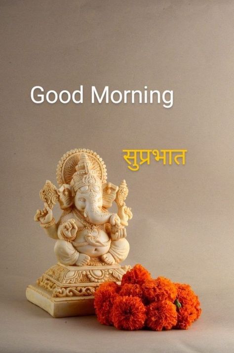 New Latest Good Morning Images, Nice Good Morning Images, Good Morning Clips, Latest Good Morning Images, Good Morning Massage, Latest Good Morning, Cute Good Morning Images, Good Morning Flowers Quotes, Shree Ganesh