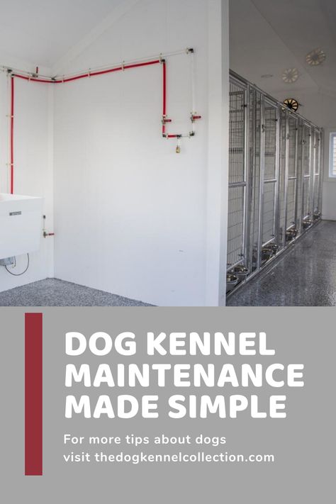 Kennel Cleaning Checklist, Dog Breeding Kennels Ideas Indoor, Cage Free Dog Boarding, Home Kennel Ideas, Dog Kennel Floor Plans, How To Start A Dog Kennel Business, Dog Training Facility Layout, Boarding Kennel Ideas, Boarding Kennels For Dogs