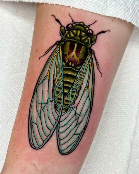 Wasp Tattoo, Cicada Tattoo, Bug Tattoo, Insect Tattoo, Traditional Tattoo Design, Tattoo Portfolio, 1 Tattoo, Tattoo Supplies, Tattoo Design Drawings