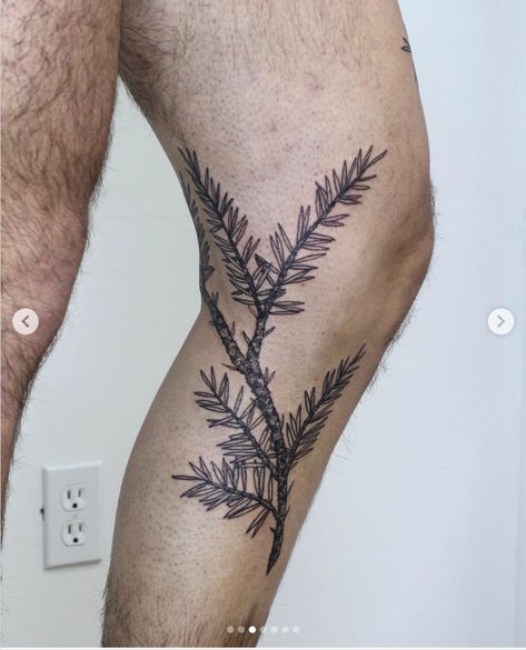 Plus Size Tattoos, Redwood Tattoo, Oregon Tattoo, Wrap Around Tattoo, Fern Tattoo, Branch Tattoo, Knee Tattoo, Sister Tattoos, March 8