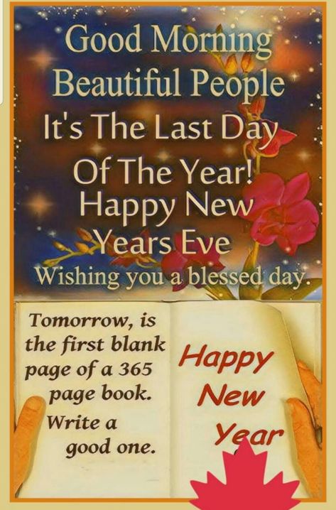 New Year Eve Quotes Funny, Happy New Year Quotes Funny, Last Day Of The Year Quotes, Holiday Season Quotes, New Year's Eve Wishes, Happy New Year Eve, January Images, New Years Eve Images, Happy New Year Funny