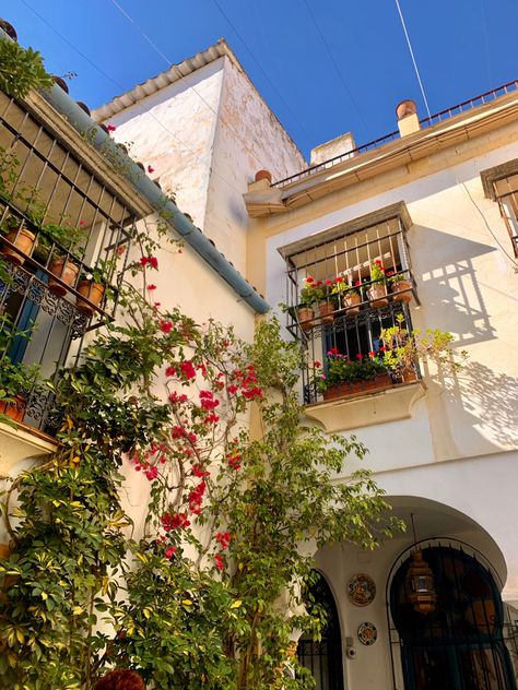 #cordoba #andalucia #aesthetic #sol #sun #cordobaaesthetic #cordobaandalucia Living In Spain Aesthetic, Spanish Aesthetic, Spain Villa Aesthetic, Andalucia Aesthetic, Cordoba Spain Aesthetic, Libro Gravity Falls, Spain Aesthetics Malaga, Mediterranean Aesthetic, Andalucia Spain