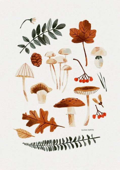 Autumn Illustration, Illustration Botanique, Botanical Watercolor, Art Et Illustration, Plant Illustration, Watercolor Inspiration, Autumn Art, Botanical Illustration, Watercolor Illustration