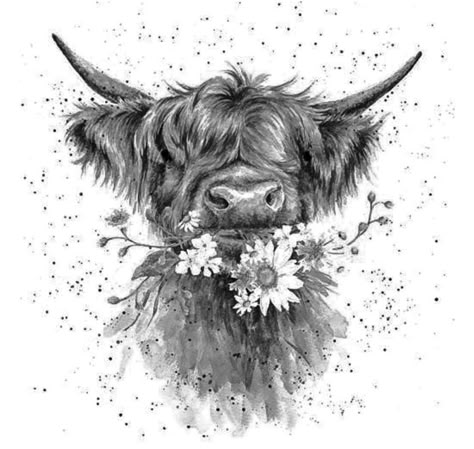 Highland Cows Tattoos, Cow Sleeve Tattoo, Highland Cow Tattoos For Women, Hyland Cow Tattoo, Highlander Cow Tattoo, Highland Cow Drawings, Fluffy Cow Tattoo, Highland Cow Tattoo With Flowers, Cow Tattoos For Women