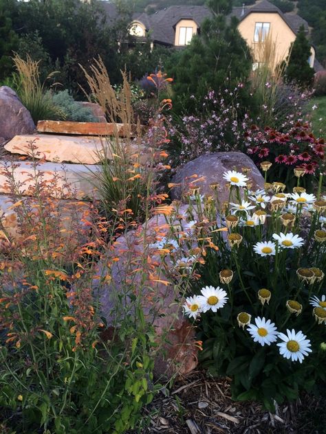 Terrace Steps, Utah Garden, Fuzzy Top, Harvest Farm, Metal Rooster, Western Washington, Stone Pathway, Fine Gardening, Garden Photos