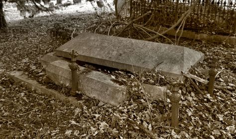 Open Grave Open Grave, Wolf Alice, Two Wolves, The Living Dead, Dark Nature, Wales Uk, Dark Nature Aesthetic, Living Dead, North Wales