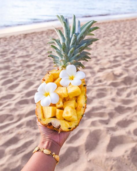 Pineapples taste better at the beach! Fruit Aesthetic, Tropical Food, Beachy Aesthetic, Pineapple Fruit, Summer Wallpaper, Summer Dream, Summer Photos, Tropical Vibes, Summer Pictures