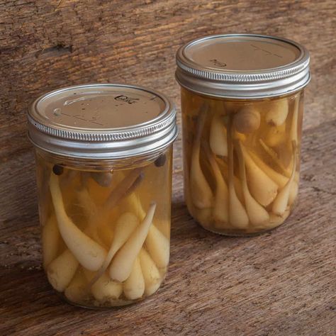 The Best Pickled Ramps Recipe - Forager | Chef Ramps Recipe, Forager Chef, Sweet Pickles Recipe, Pickled Ramps, Wild Leeks, Wild Ramps, Ramp Pesto, Garlic Fried Chicken, Onion Leeks