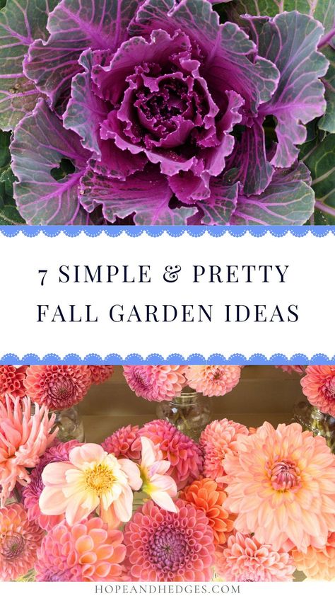 Ready for fall gardening? These are some of the most classic, simple, and pretty fall garden ideas that will transform your yard this autumn. From ornamental kale to fall flowers that bloom in the prettiest shades of orange, yellow, and red, these autumn garden ideas are a must-try! Fall Plants For Outside, Fall Flowerbeds Front Yards, Autumn Garden Ideas, Fall Flower Bed, Fall Garden Ideas, Outside Fall Decorations, Flowering Kale, Fall Flowers Garden, Mums In Pumpkins