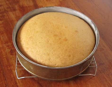 One Egg Cake Recipe Simple, 1 Egg Cake Recipe, 3 Egg Cake Recipe, Two Egg Cake Recipe, 2 Egg Cake Recipe, One Egg Cake Recipe, One Egg Cake, Egg Cake Recipe, Easy White Cake Recipe