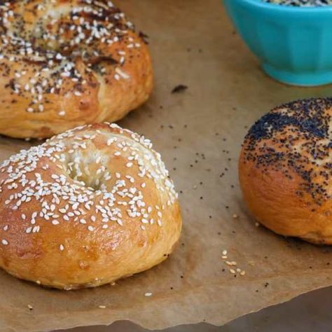 Anna Olson Recipes Baking, Home Made Bagels, Anna Olsen, New York Bagels, Anna Olson Recipes, Bagel Toppings, Anna Olson, New York Bagel, Bagel Recipe