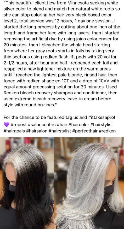 Gray Shades Eq Formula, Shades Eq Gray Toner Formulas, Silver Shades Eq Formula, Silver Hair Formula, Grey Hair Formula Redken, Gray Toner Formula, Bright Blonde Shades Eq Formula, Shades Eq Silver Toner Formulas, Wella Gray Hair Formula