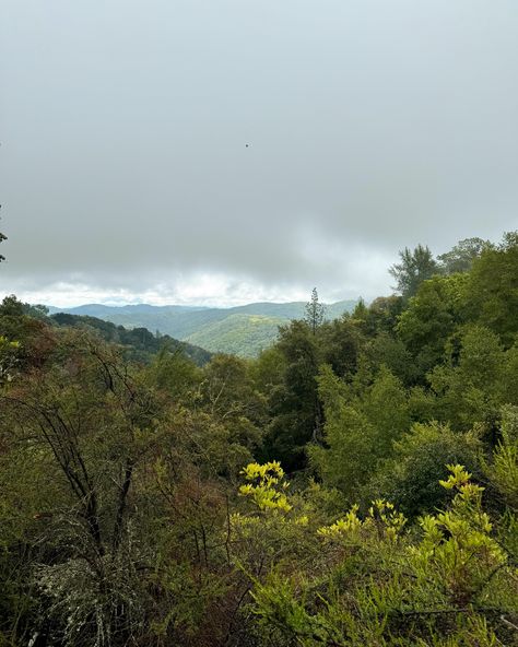 Are you looking to explore some remarkable Bay Area Hikes? Let us fill you in! 🌳 Morgan Hill is home to over a dozen parks and preserves where visitors can explore the unique biodiversity of the region. As the seasons turn, fall is one of the best times of year to get outside! Here are some of our favorite parks to trailblaze 👇 🌲 Henry W. Coe State Park is the largest state park in Northern California offering over 250 miles of hiking trails and old ranch roads to explore. In the evenings, ... Bay Area Hikes, Morgan Hill, Hiking Spots, Get Outside, Northern California, State Park, Hiking Trails, Bay Area, State Parks