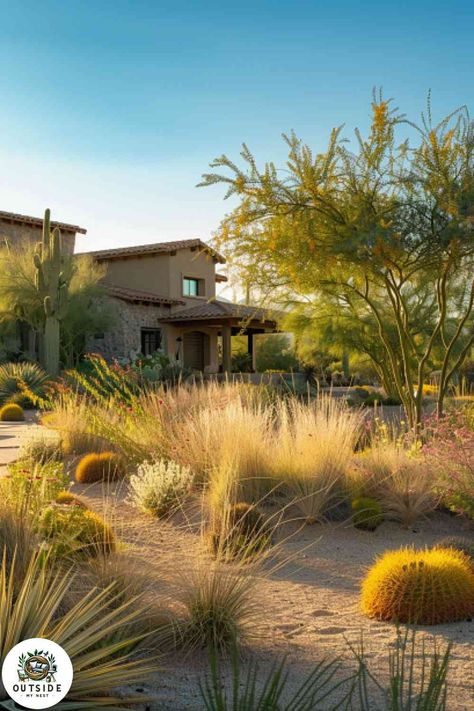 25 Desert Landscaping Ideas for Your Front Yard Desert Landscaping Ideas, Desert Landscape Front Yard, Desert Landscaping Backyard, Dry Gardens, High Desert Landscaping, Desert Trees, Wood Mulch, Native Plant Gardening, Dry Garden