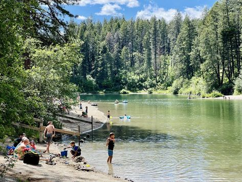 Four Northern Idaho Parks To Add To Your Adventure List | Visit Idaho Island Park Idaho Things To Do In, Places To Visit In Idaho, Best Places In Idaho To Visit, Idaho Nature, Adventure List, Northern Idaho, Visit Idaho, Round Lake, North Idaho