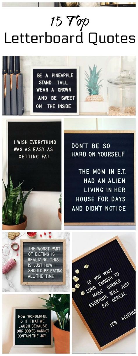 Letterboard Quotes- Top 15 Funny and Inspirational Letterboard Quotes 365 Jar, Letterboard Quotes, Message Board Quotes, Felt Letter Board, Easter Quotes, Word Board, Funny Letters, Genius Ideas, Felt Letters