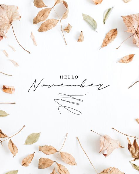 Hello November Aesthetic, November Sayings, November To Remember, November First, November Backgrounds, Seasonal Quotes, November Images, Insta Edits, November Mood