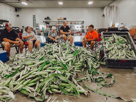 Our corn husking party has become a family tradition. When the corn is ready, everyone helps collect, husk, cook and prepare the corn for freezers. Canned Cranberries, Bake Pumpkin, Shredded Zucchini, Pumpkin Butter, Seasonal Treats, Corn Husk, Types Of Bread, Canning Jar, Mint Tea