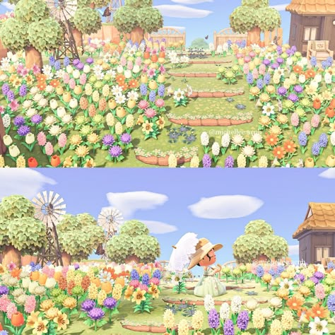 Spring Flower Field, Soul Full Of Sunshine, Forest Village, Animal Crossing Characters, New Animal Crossing, Flower Landscape, Animal Crossing Game, Island Design, Spring Flower