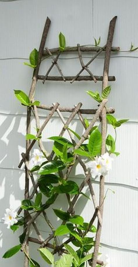 Decorations from scrap branches in new projects for gardens | My desired home Diy Trellis, Trellis Plants, Garden Trellis, Garden Structures, Decor Minimalist, Garden Cottage, Easy Woodworking Projects, Garden Crafts, Clematis