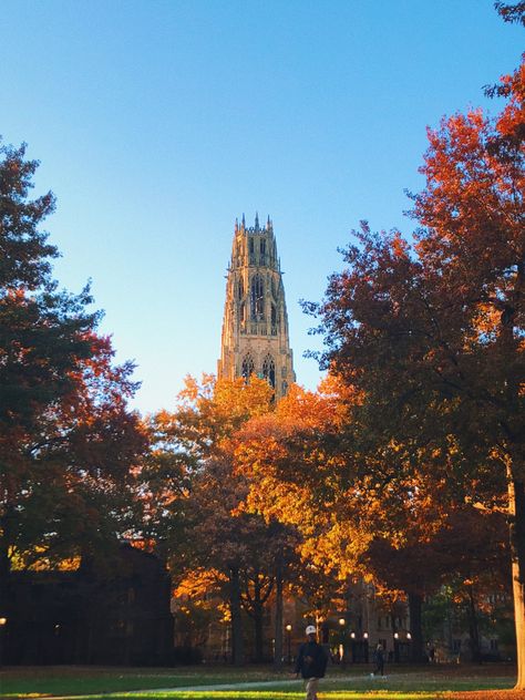 Yale University Law School, University Fall Aesthetic, Fall Campus Aesthetic, Fall On Campus, Yale Campus Aesthetic, Yale University Aesthetic Campus, Yale Aesthetic University, Fall College Aesthetic, Yale University Aesthetic