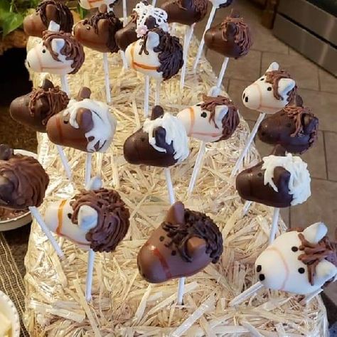 Rodeo Cake Pops, Rodeo Party Food, Cowboy Treats, Western Picnic, Horse Cake Pops, Western Theme Cakes, Cowgirl Birthday Cakes, Western Birthday Cakes, Ladybug Cakes