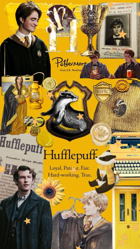 Hufflepuff Pride 🦡💛✨ Hufflepuff Aesthetic, Hufflepuff Pride, Hufflepuff House, Harry Potter Hufflepuff, Harry Potter Houses, Slytherin Aesthetic, Simple Christmas, Hogwarts, Harry Potter