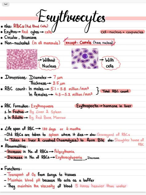 Biomedical Science Aesthetic, Biochemistry Notes, Learn Biology, Nurse Study, Ipad Notes, Nurse Study Notes, Nursing Student Tips, Medical Student Study, Nursing School Survival