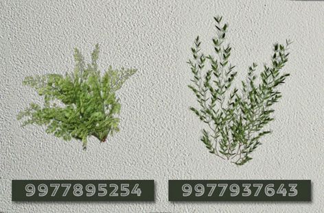 Bloxburg Bushes Decals Codes, Plant Decals Bloxburg Outdoor, Custom Tree Bloxburg, Bush Codes Bloxburg, Grass Decal Bloxburg, Bloxburg Indoor Plant Decals, Bloxburg Brick Decal Codes, Bush Decals Bloxburg, Bloxburg Bushes Decals