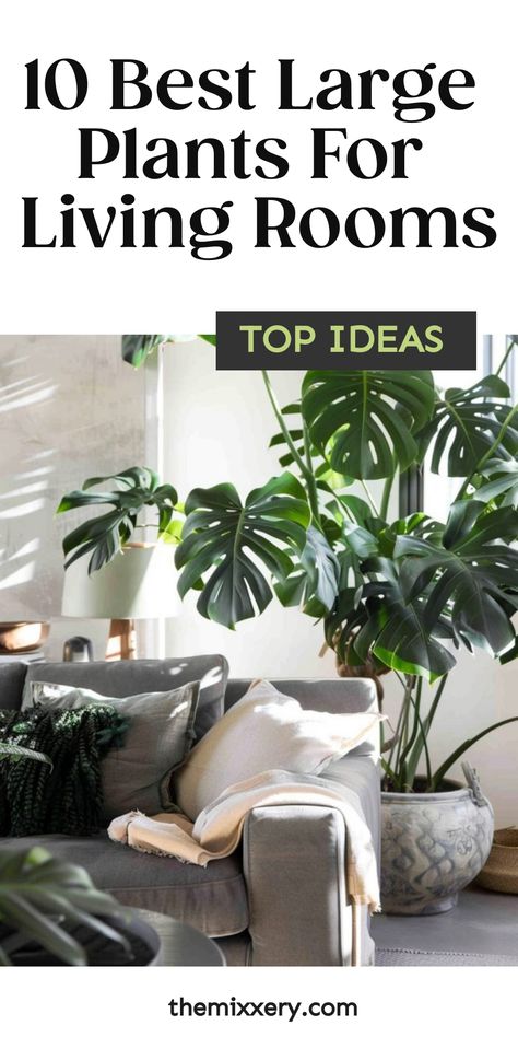 10 large plants to decorate living rooms, with a cozy couch and sunlight streaming through a window. Living Room With Big Plants, Room Flowers Plants, Best Living Room Plants, Decor With Plants In Living Room, Large House Plants Indoor Living Room, Best Large Indoor Plants, Big House Plants Indoor, Decorating With Plants In Living Room, Floor Plants Decor Living Rooms