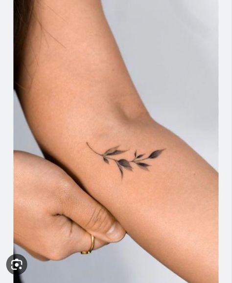 Leaf Tattoo Meaning, Olive Tattoo, Wrap Around Wrist Tattoos, Wörter Tattoos, Olive Branch Tattoo, Small Back Tattoos, 50 Tattoo, Earthy Tattoos, Leaf Tattoo