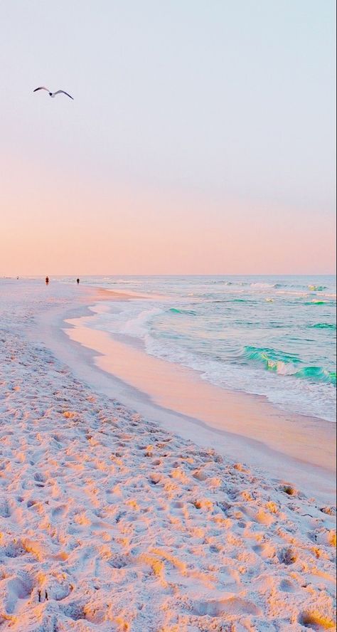 Aesthetic Wallpapers Beach, Preppy Beach Wallpaper Ipad, Ipad Wallpaper Aesthetic Beach, Cute Wallpapers Beach, Beachy Aesthetic Wallpaper, Preppy Beach Wallpaper, Cute Beach Wallpapers, Summer Season Aesthetic, Summer Wallpaper Beach