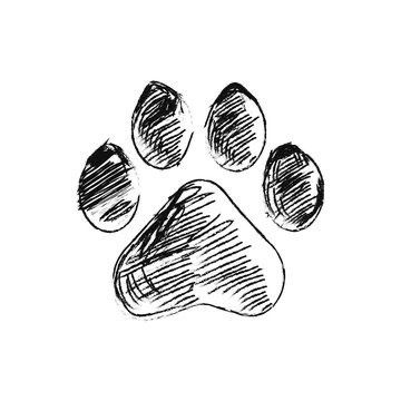 Paw Sketch, Dog Paw Drawing, Paw Illustration, Tattoo Care Instructions, Memorial Tattoo Designs, Paw Drawing, Dog Paw Tattoo, Animal Footprints, Realistic Temporary Tattoos