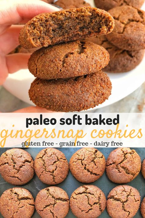 Gluten Free Pumpkin Molasses Cookies, Ginger Molasses, Dairy Free Cookies, Cookies Gluten Free, Paleo Cookies, Lactose Free Diet, Cook Healthy, Ginger Molasses Cookies, Paleo Baking