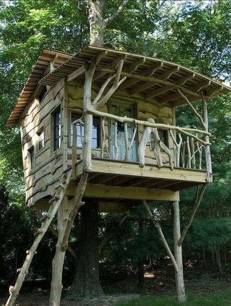 Backyard Treehouse, Tree House Interior, Simple Tree House, Modern Tree House, Pallet Tree, Beautiful Tree Houses, Treehouse Masters, Fairy World, Building A Treehouse