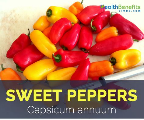 Sweet Peppers facts and health benefits Sweet Pepper Benefits, Benefits Of Sweet Peppers, Sweet Peppers Benefits, Benefits Of Peppers, Red Pepper Benefits, Pepper Health Benefits, Bell Pepper Benefits, Pepper Benefits, Vegetable Supports