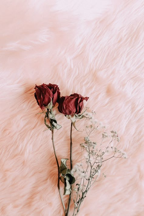 Wallpaper Aesthetic, Dried Flowers, White Flowers, Macbook, Red Roses, Roses, Flowers, Red, Pink