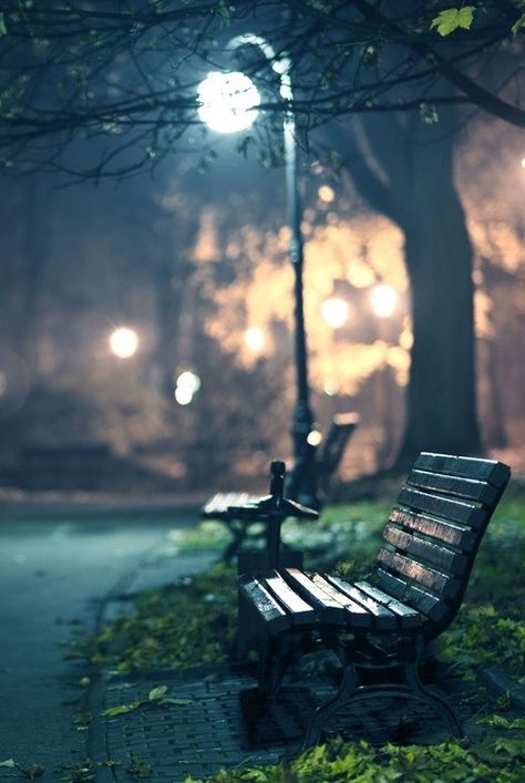 There is just something gorgeous about this space. I love  parks at night, when there is no one around. Only the light of the streetlamps  and the benches to sit on. Park At Night, Park Photography, Rainy Night, Photography Gallery, A Park, Girlfriend Boyfriend, Street Light, Image Hd, Night Photography