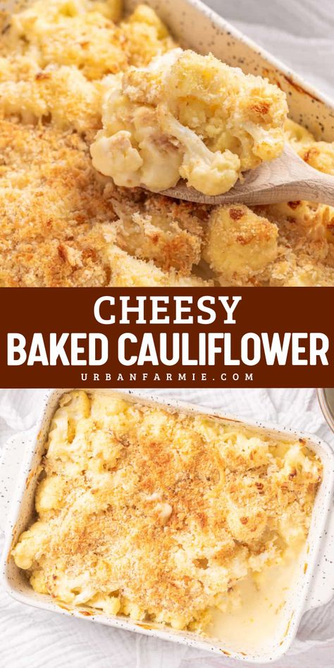 Rich, cheesy, and irresistible! This Cheesy Baked Cauliflower is a must-try for Christmas side dish recipes. Roasted to perfection, coated in a luscious Mornay sauce, and baked until golden brown, it’s a healthy yet indulgent treat! #FeelingFestive24 Best Cauliflower Cheese Recipe, Cauliflower Side Dish Recipes, Baked Cauliflower With Cheese, Ham And Cauliflower, Cheesy Baked Cauliflower, Cheesy Cauliflower Recipes, Cauliflower With Cheese, Cooked Cauliflower, Baked Cauliflower Recipe