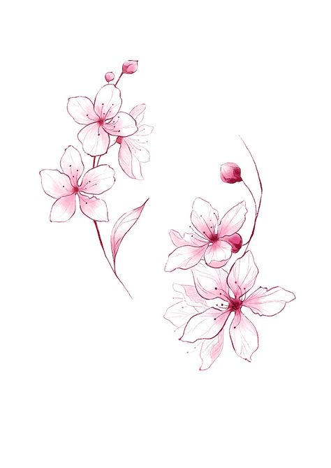 Sakura Blossoms Tattoo, Blossom Tattoo Design, Flower Japanese, Japanese Flowers Design, Blossom Cherry Tattoo, Japanese Inspired Tattoos For Women, Blossoms Tattoo, Cherry Flower Drawing, Flower Tattoo Template