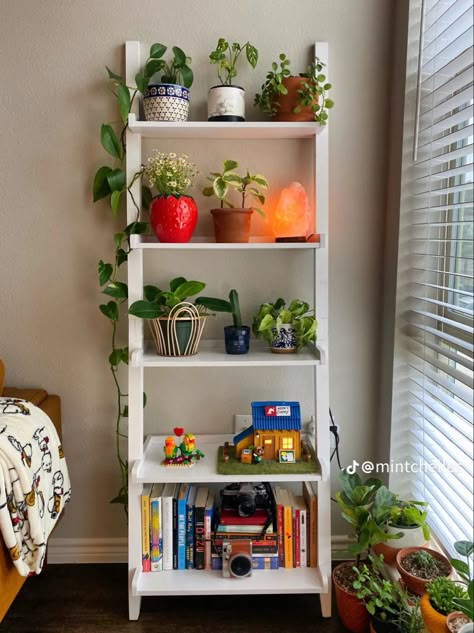 Bookshelf Ideas Bedroom Small Spaces, Bookshelf For Bedroom Small Spaces, Shelf Styling Bedroom Aesthetic, Room Decor Bedroom Shelves, Dorm Bookshelf Decor, Cute Small Bookshelf, Book Shelf Decor Bedroom Aesthetic, Shelving For Closets, Ladder Shelf Decor Bedroom