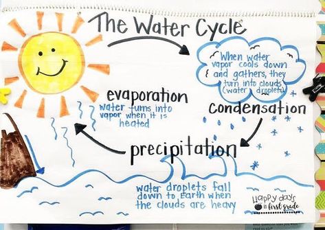 The Water Cycle Anchor Chart- Evaporation, Condensation, and Precipitation with Pictures and Descriptions Science Classroom Door, Water Cycle Anchor Chart, Science Chart, Science Anchor Charts, The Water Cycle, Spring Classroom, First Grade Science, 4th Grade Science, 5th Grade Science